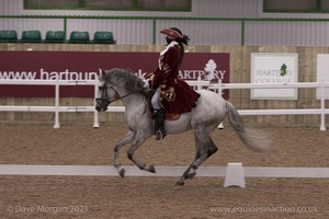 Lusitano Breed Society of Great Britain Show - Hartpury College - 27th June 2009